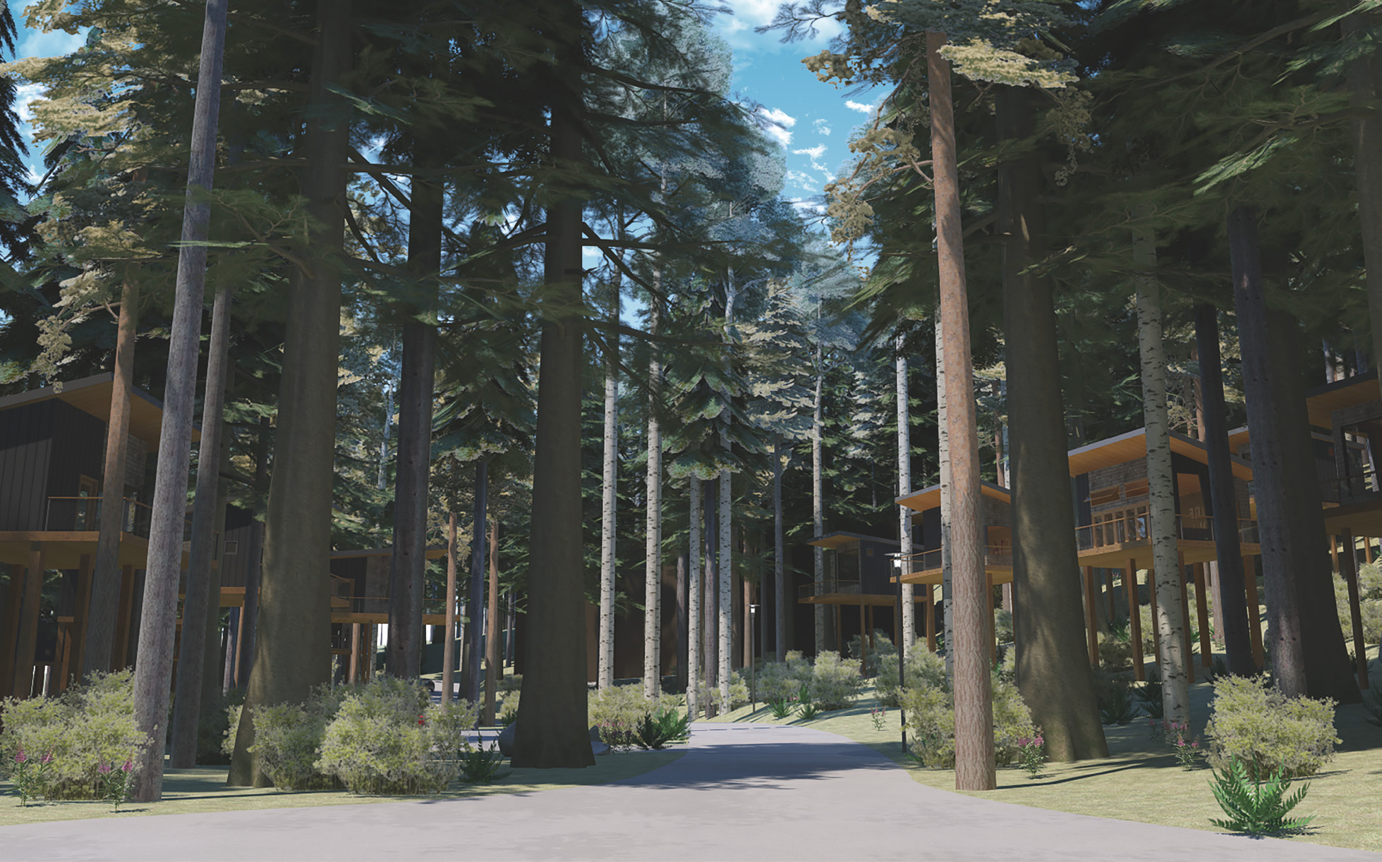 REVELSTOKE TREE HOUSE HOTEL MASTER PLAN & REZONING